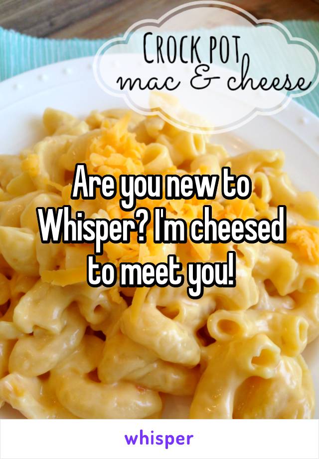 Are you new to Whisper? I'm cheesed to meet you!