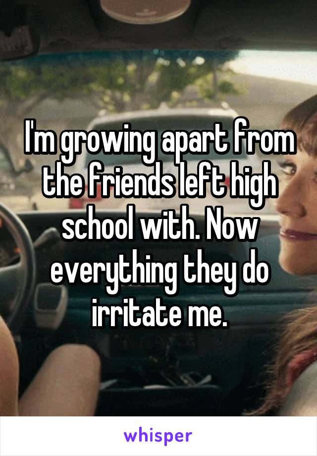 I'm growing apart from the friends left high school with. Now everything they do irritate me.