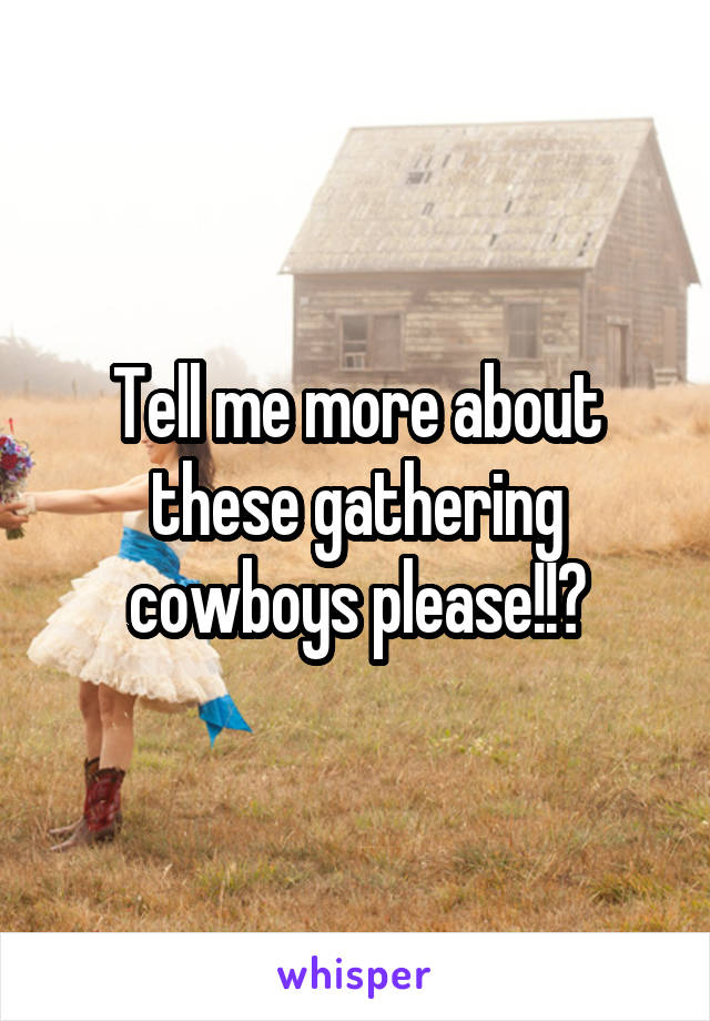 Tell me more about these gathering cowboys please!!?