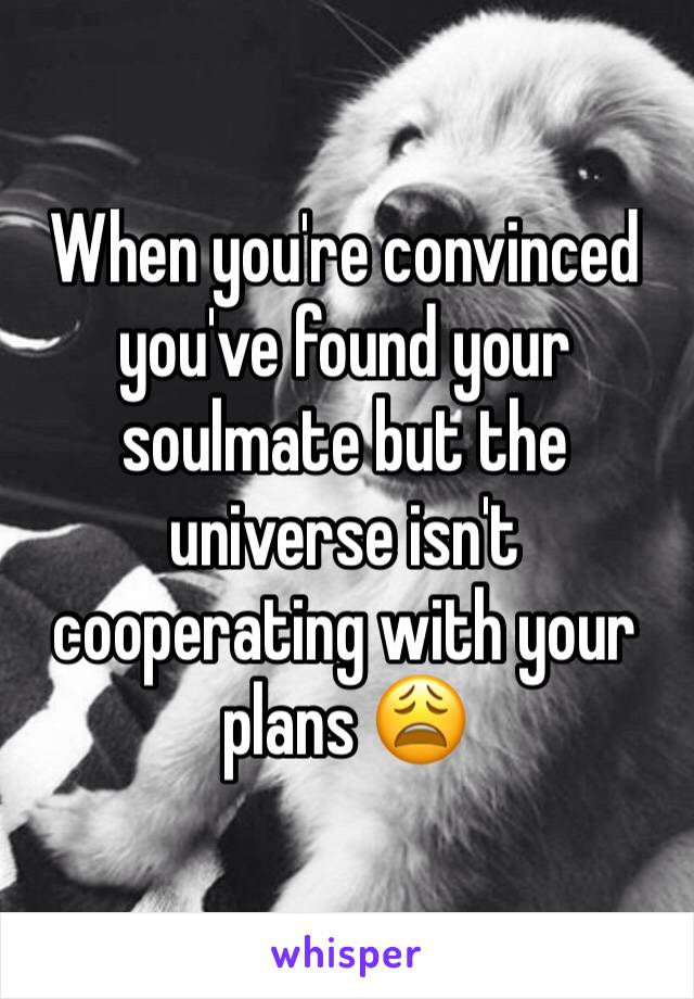 When you're convinced you've found your soulmate but the universe isn't cooperating with your plans 😩