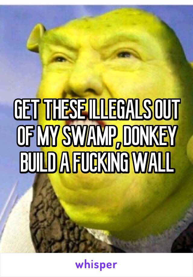 GET THESE ILLEGALS OUT OF MY SWAMP, DONKEY BUILD A FUCKING WALL