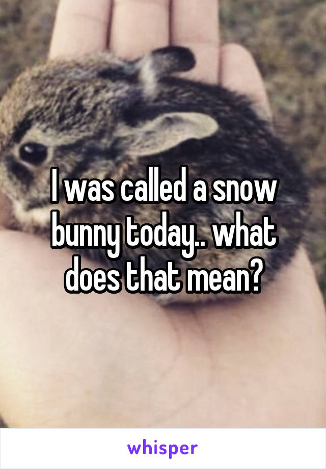 I was called a snow bunny today.. what does that mean?