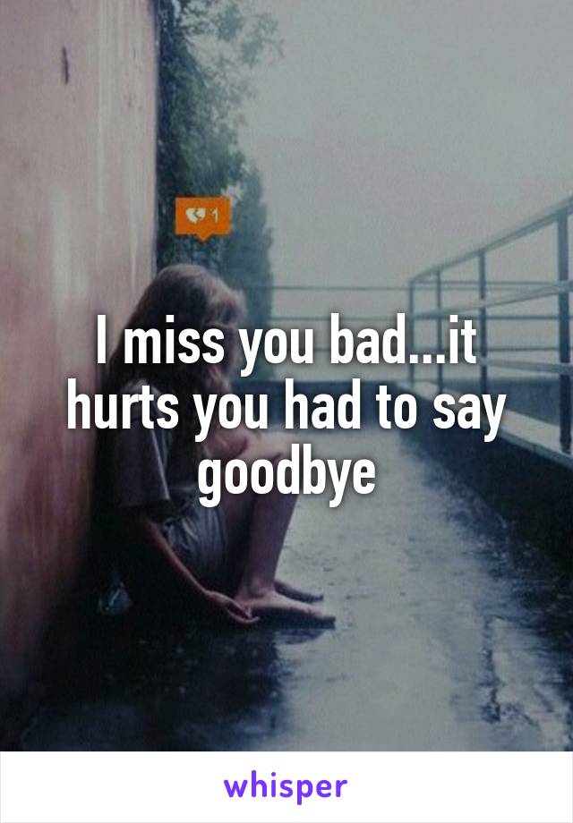 I miss you bad...it hurts you had to say goodbye