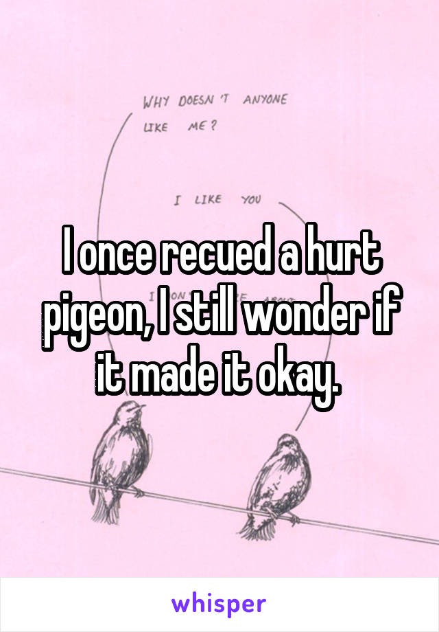 I once recued a hurt pigeon, I still wonder if it made it okay. 