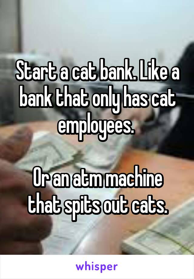 Start a cat bank. Like a bank that only has cat employees. 

Or an atm machine that spits out cats.