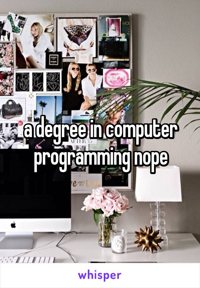 a degree in computer programming nope