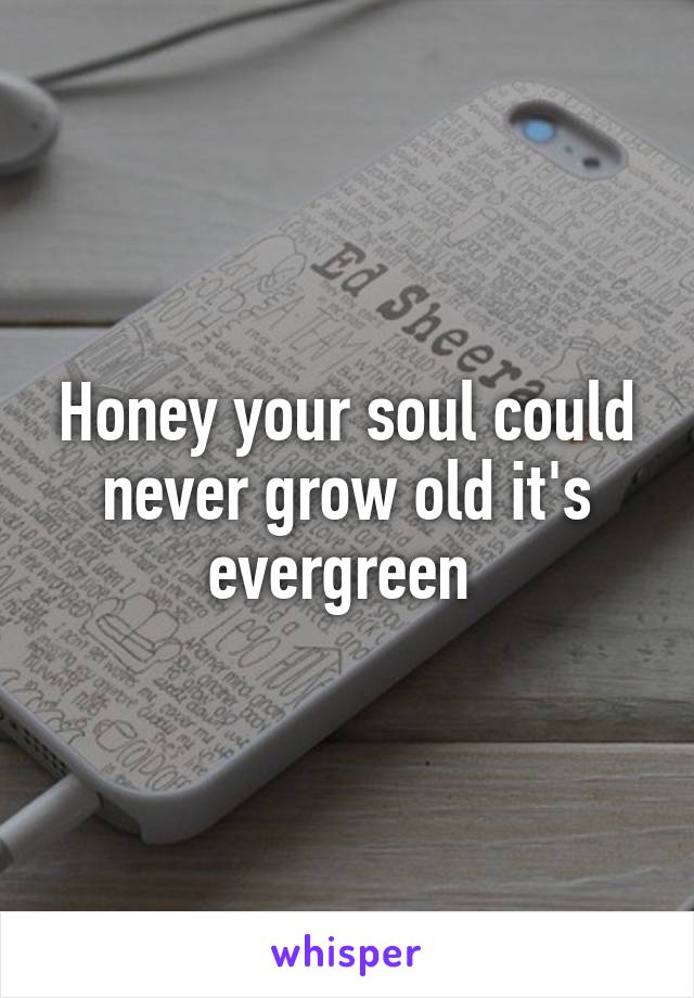 Honey your soul could never grow old it's evergreen 