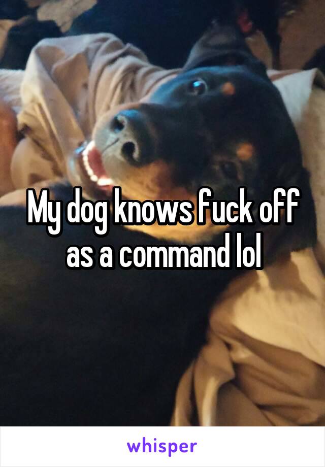 My dog knows fuck off as a command lol