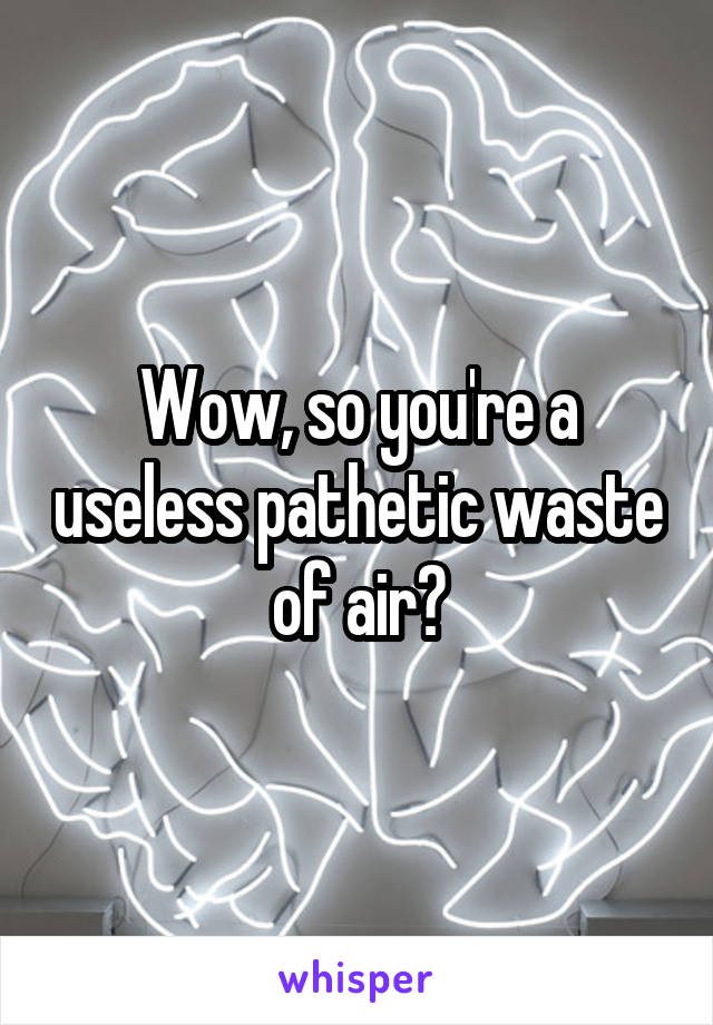 Wow, so you're a useless pathetic waste of air?