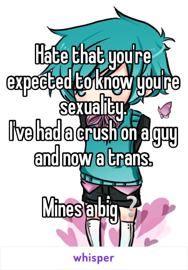 Hate that you're expected to know you're sexuality.
I've had a crush on a guy and now a trans.

Mines a big❔