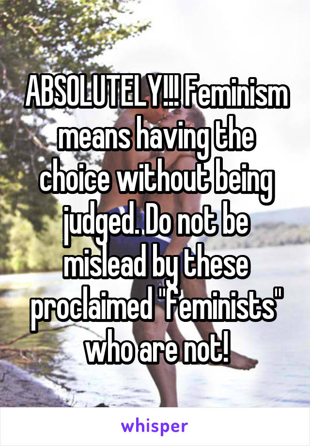 ABSOLUTELY!!! Feminism means having the choice without being judged. Do not be mislead by these proclaimed "feminists" who are not!