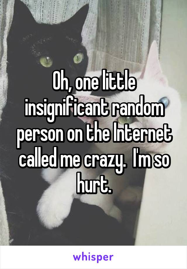 Oh, one little insignificant random person on the Internet called me crazy.  I'm so hurt.