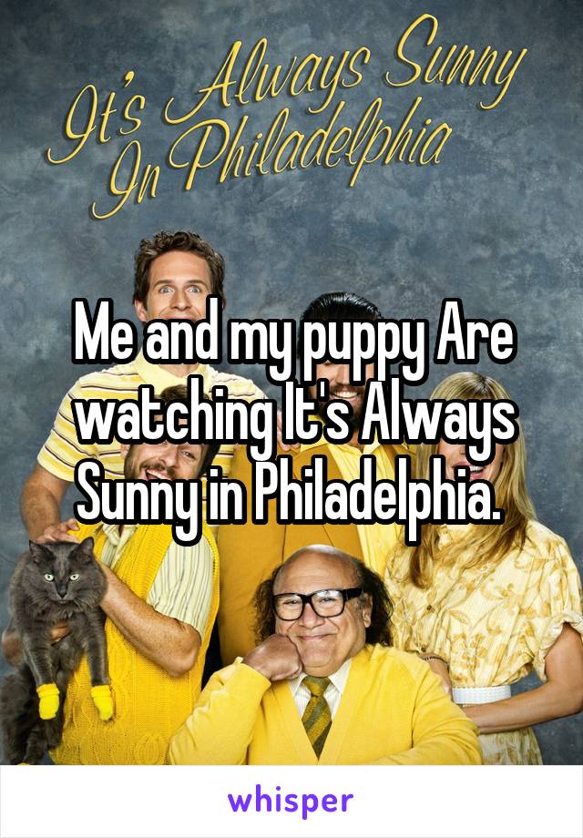 Me and my puppy Are watching It's Always Sunny in Philadelphia. 