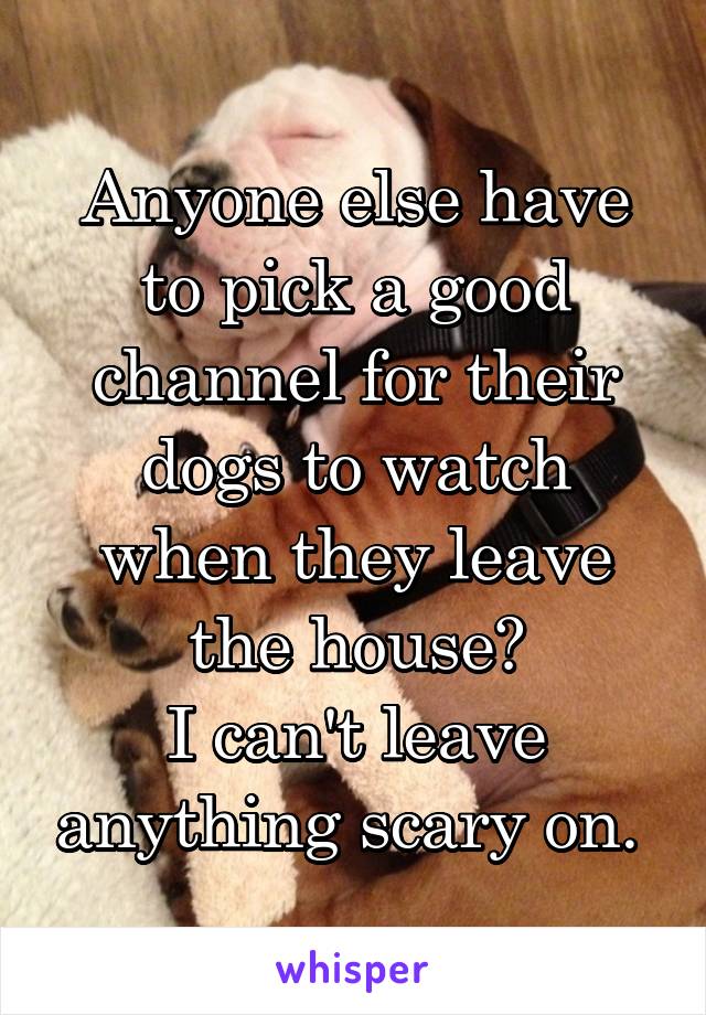 Anyone else have to pick a good channel for their dogs to watch when they leave the house?
I can't leave anything scary on. 