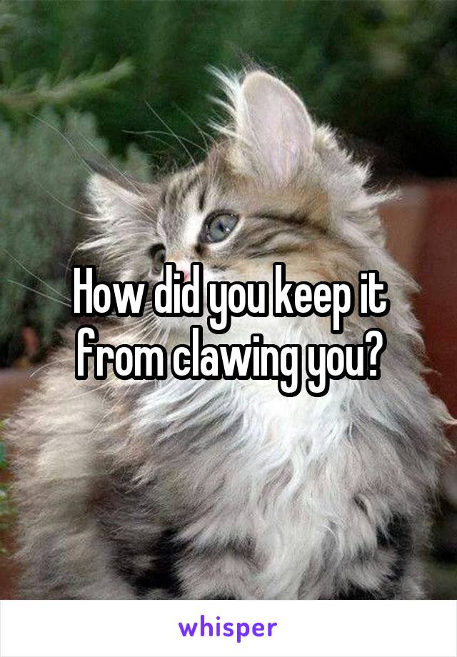 How did you keep it from clawing you?