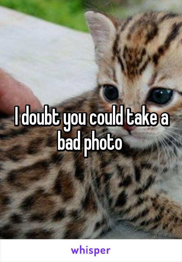 I doubt you could take a bad photo 