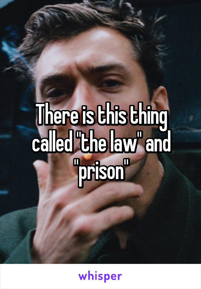 There is this thing called "the law" and "prison"