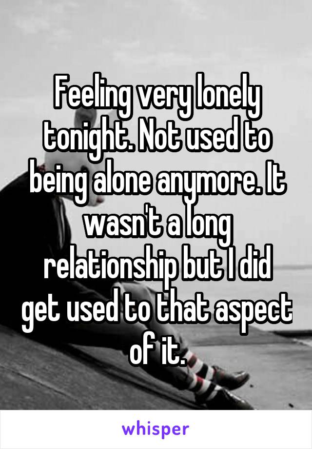 Feeling very lonely tonight. Not used to being alone anymore. It wasn't a long relationship but I did get used to that aspect of it.