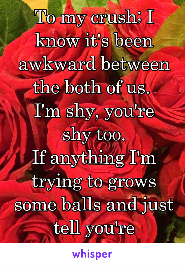 To my crush; I know it's been awkward between the both of us. 
I'm shy, you're shy too.
If anything I'm trying to grows some balls and just tell you're beautiful!