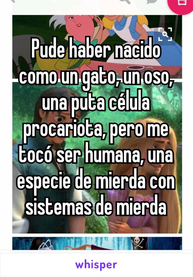 Pude haber nacido como un gato, un oso, una puta célula procariota, pero me tocó ser humana, una especie de mierda con sistemas de mierda