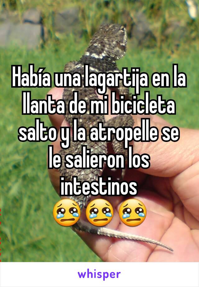 Había una lagartija en la llanta de mi bicicleta salto y la atropelle se le salieron los intestinos
😢😢😢