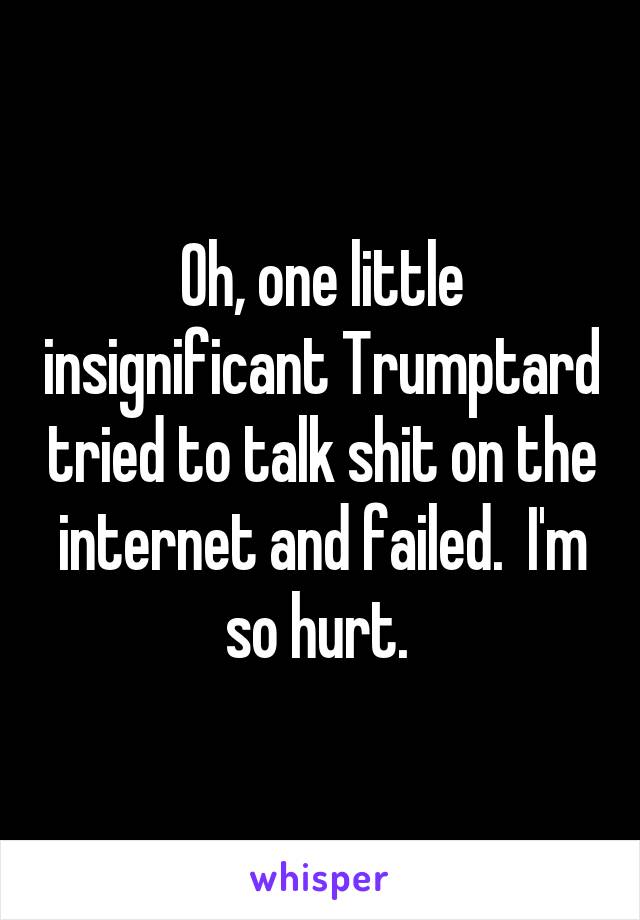 Oh, one little insignificant Trumptard tried to talk shit on the internet and failed.  I'm so hurt. 