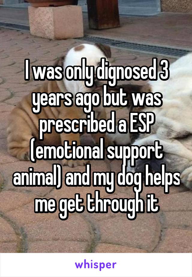 I was only dignosed 3 years ago but was prescribed a ESP (emotional support animal) and my dog helps me get through it