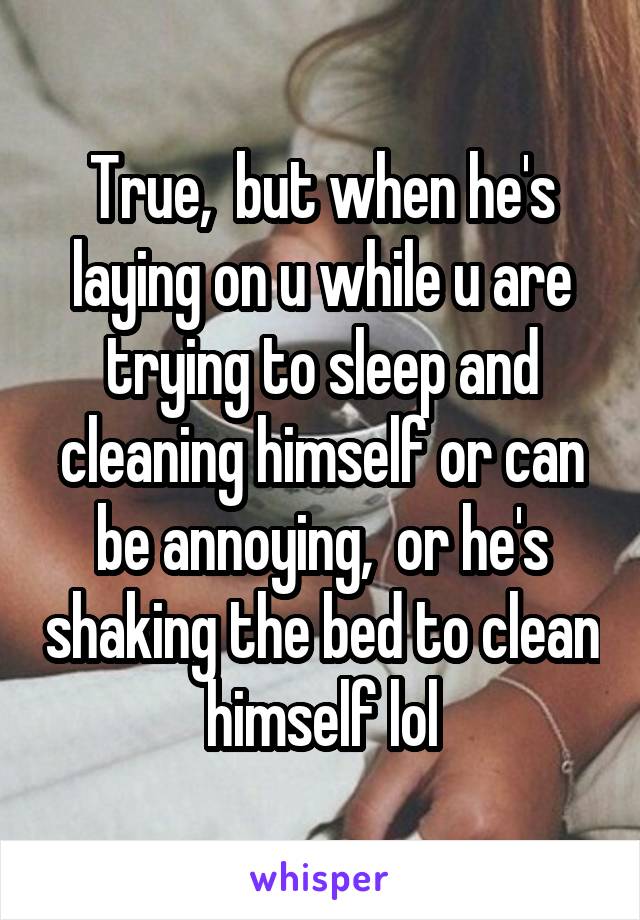 True,  but when he's laying on u while u are trying to sleep and cleaning himself or can be annoying,  or he's shaking the bed to clean himself lol