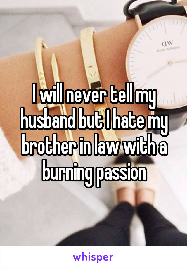 I will never tell my husband but I hate my brother in law with a burning passion