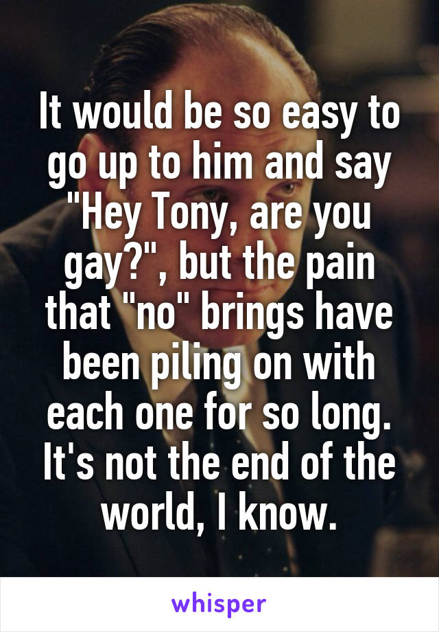 It would be so easy to go up to him and say "Hey Tony, are you gay?", but the pain that "no" brings have been piling on with each one for so long.
It's not the end of the world, I know.