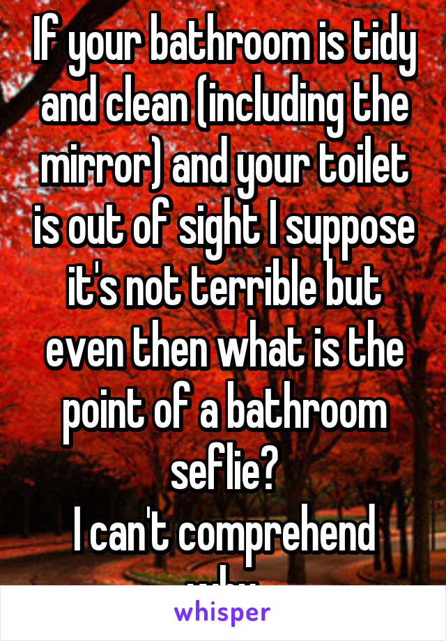 If your bathroom is tidy and clean (including the mirror) and your toilet is out of sight I suppose it's not terrible but even then what is the point of a bathroom seflie?
I can't comprehend why.