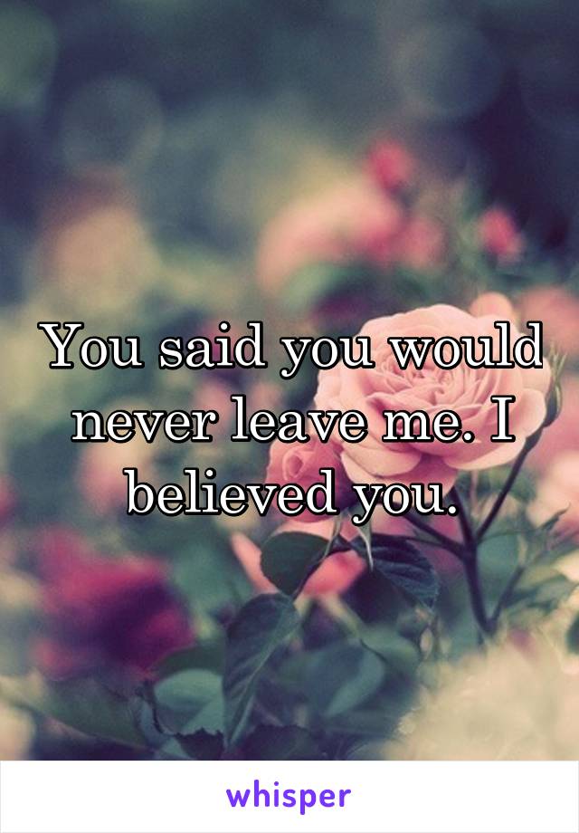 You said you would never leave me. I believed you.