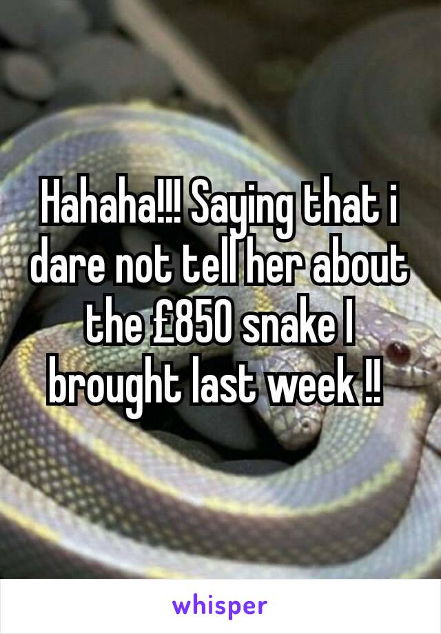 Hahaha!!! Saying that i dare not tell her about the £850 snake I brought last week !! 