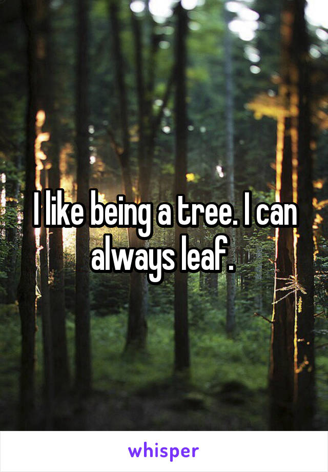 I like being a tree. I can always leaf. 