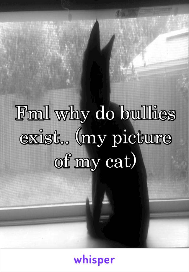 Fml why do bullies exist.. (my picture of my cat)