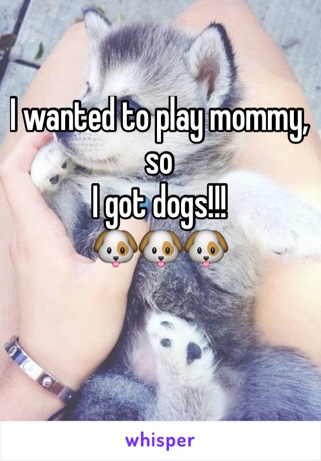 I wanted to play mommy,
so 
I got dogs!!!
🐶🐶🐶
