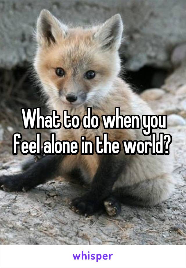 What to do when you feel alone in the world? 