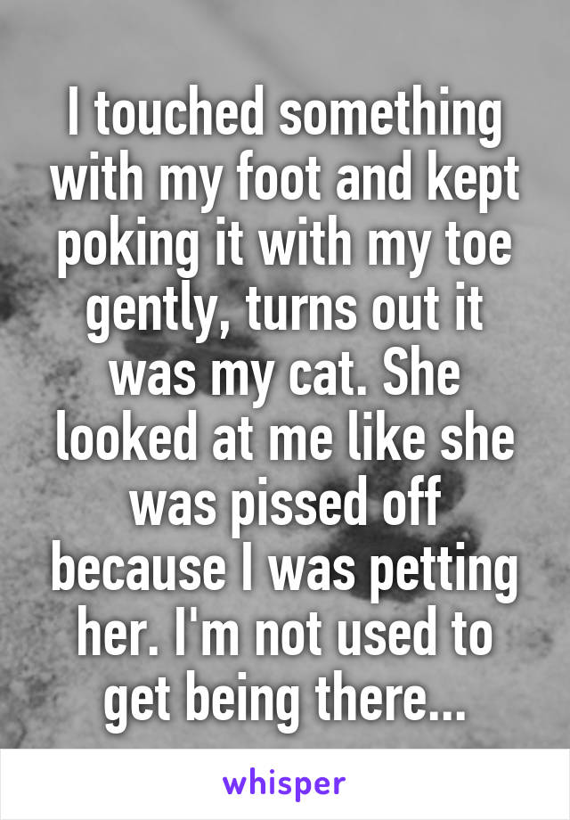 I touched something with my foot and kept poking it with my toe gently, turns out it was my cat. She looked at me like she was pissed off because I was petting her. I'm not used to get being there...