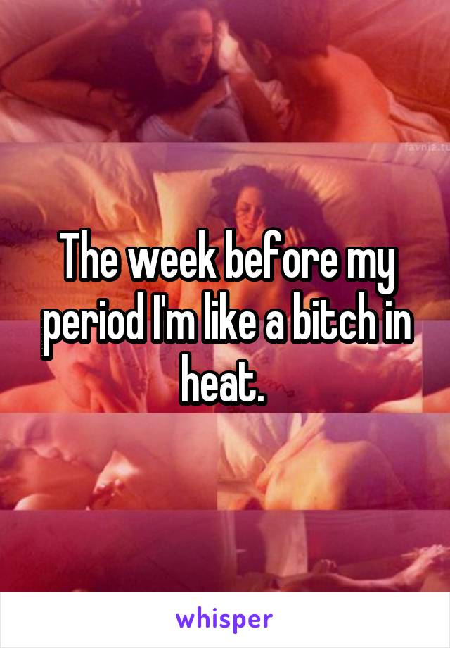 The week before my period I'm like a bitch in heat. 