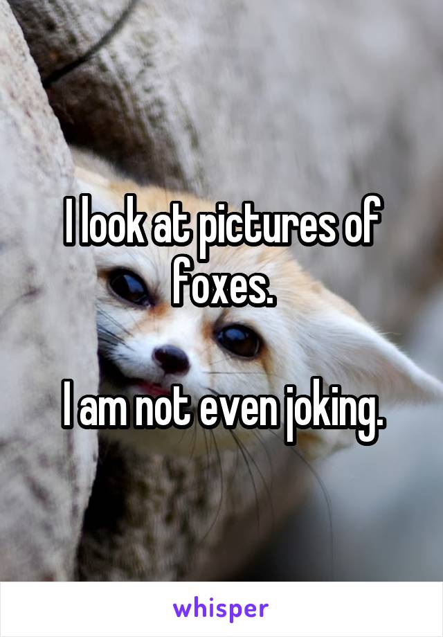 I look at pictures of foxes.

I am not even joking.