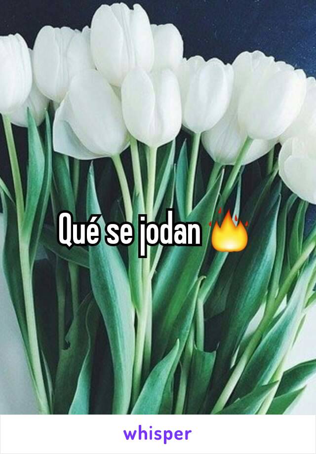 Qué se jodan🔥