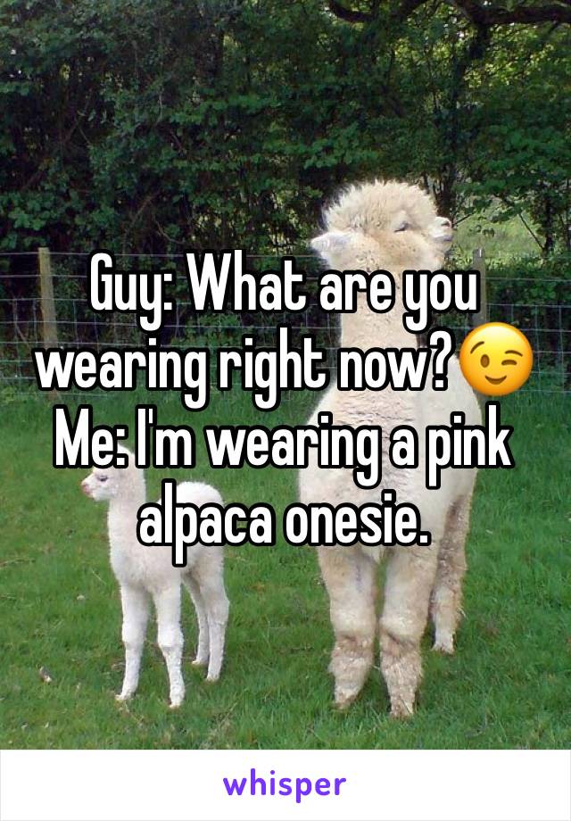 Guy: What are you wearing right now?😉
Me: I'm wearing a pink alpaca onesie.