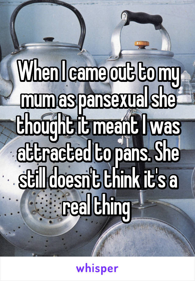 When I came out to my mum as pansexual she thought it meant I was attracted to pans. She still doesn't think it's a real thing 