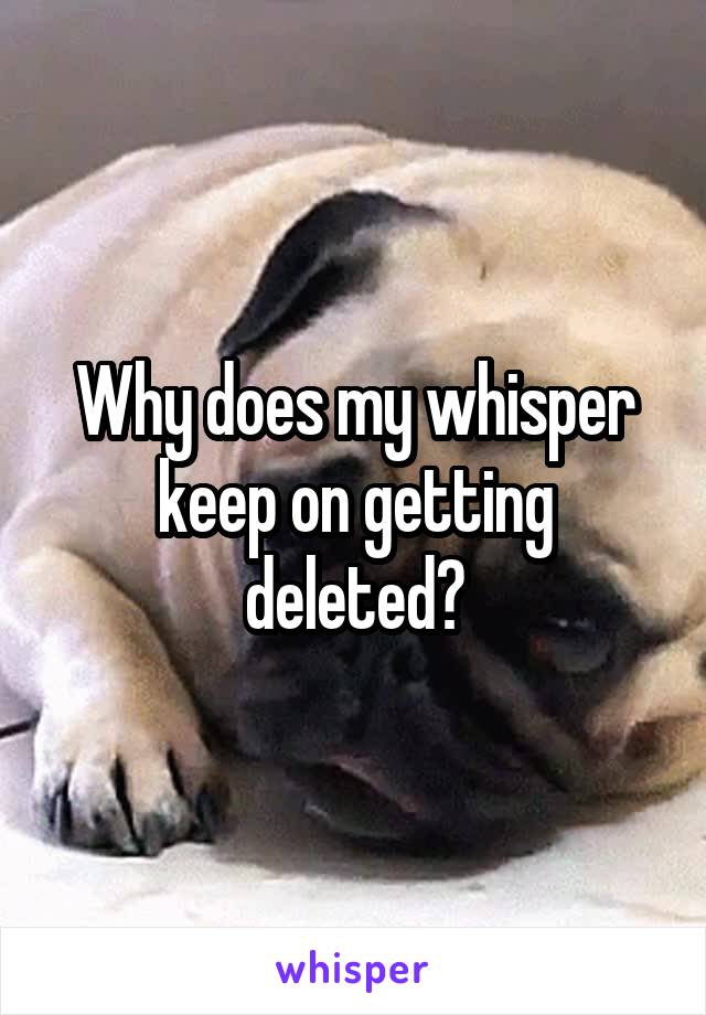 Why does my whisper keep on getting deleted?