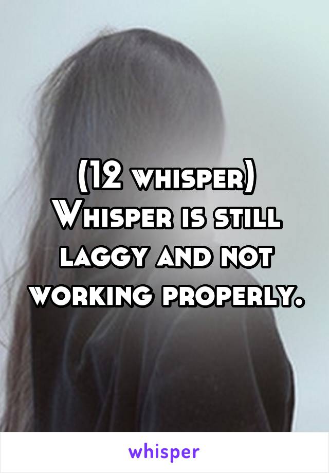 (12 whisper)
Whisper is still laggy and not working properly.