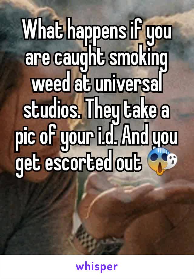 What happens if you are caught smoking weed at universal studios. They take a pic of your i.d. And you get escorted out 😱