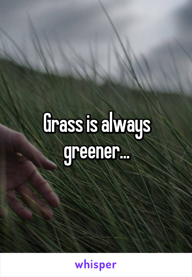 Grass is always greener...