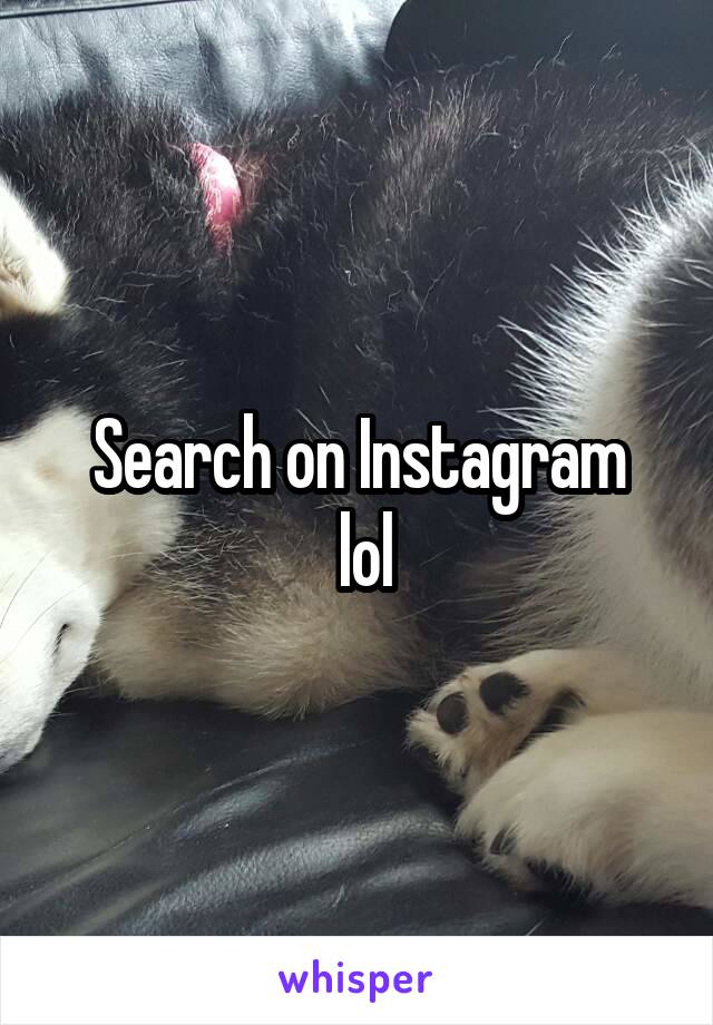 Search on Instagram
 lol