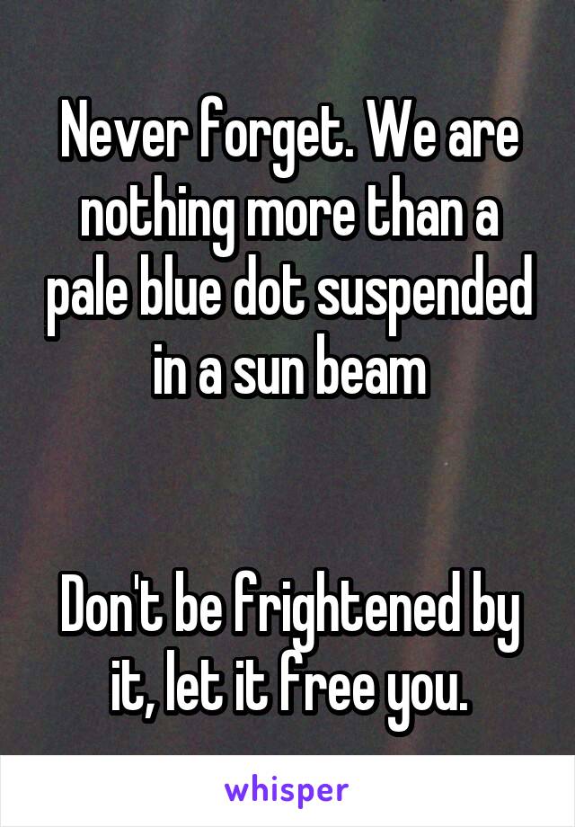 Never forget. We are nothing more than a pale blue dot suspended in a sun beam


Don't be frightened by it, let it free you.