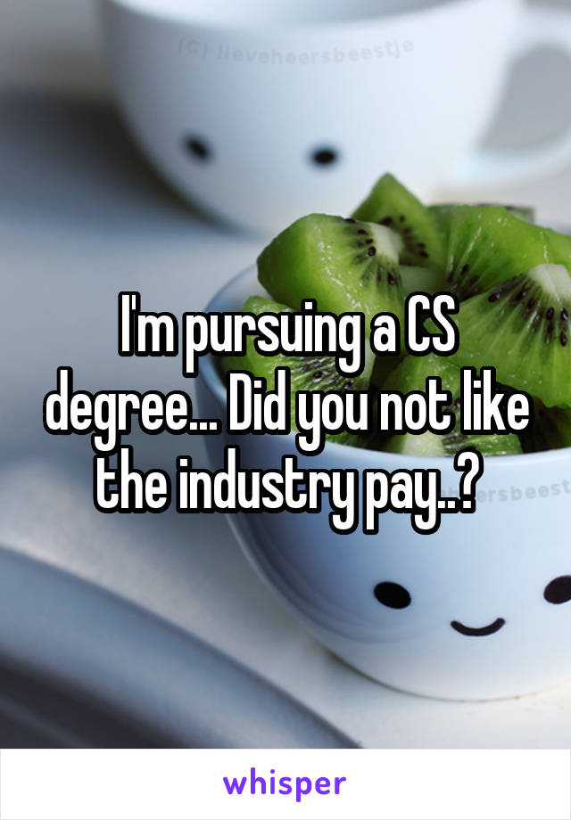 I'm pursuing a CS degree... Did you not like the industry pay..?